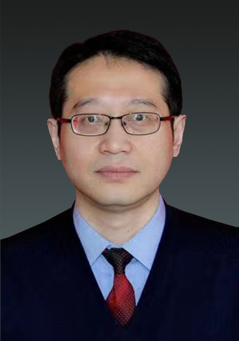 H动漫