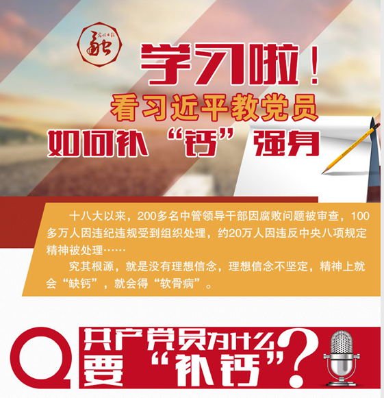 H动漫