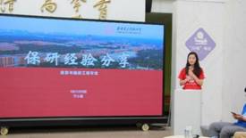 H动漫
