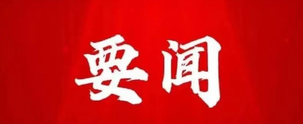 H动漫