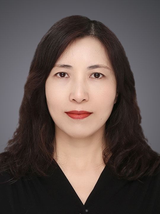H动漫